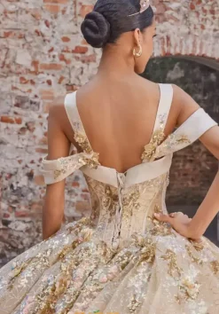 Vizcaya Quinceanera 89552