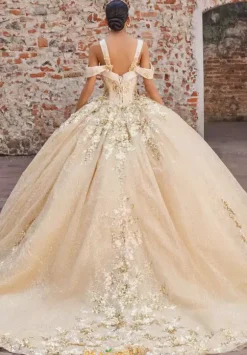 Vizcaya Quinceanera 89552