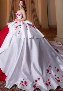 Vizcaya Quinceanera 4080016