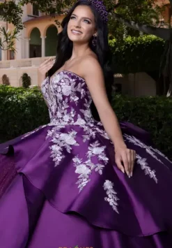 Vizcaya Quinceanera 4080016
