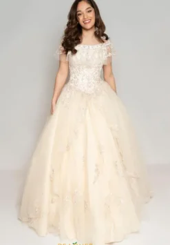 Vizcaya Quinceanera 89181