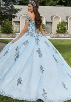 Vizcaya Quinceanera 89405