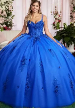 Vizcaya Quinceanera 89504