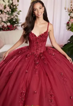 Vizcaya Quinceanera 89504