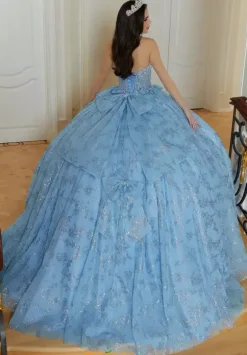 Vizcaya Quinceanera 89478