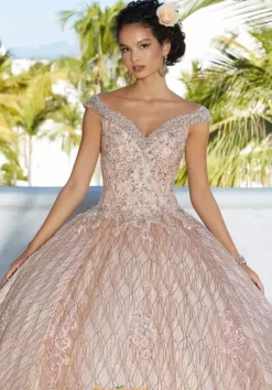 Vizcaya Quinceanera 89357