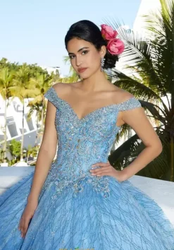 Vizcaya Quinceanera 89357