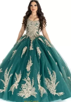 Vizcaya Quinceanera 89311