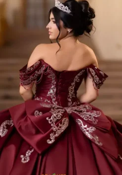 Vizcaya Quinceanera 4080011