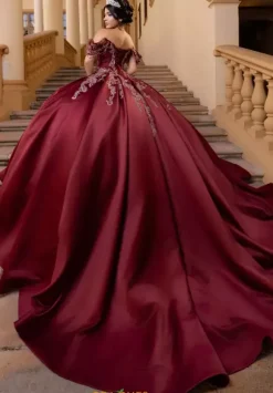 Vizcaya Quinceanera 4080011