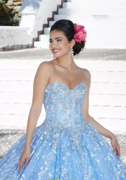 Vizcaya Quinceanera 89366