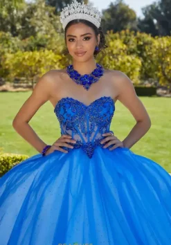 Vizcaya Quinceanera 89427