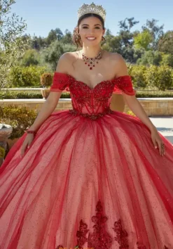 Vizcaya Quinceanera 89427