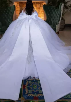 Vizcaya Quinceanera 4080008