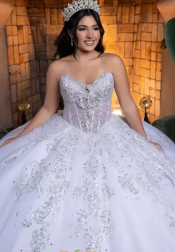 Vizcaya Quinceanera 4080008
