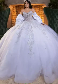 Vizcaya Quinceanera 4080008