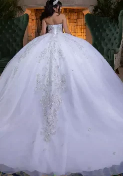 Vizcaya Quinceanera 4080008