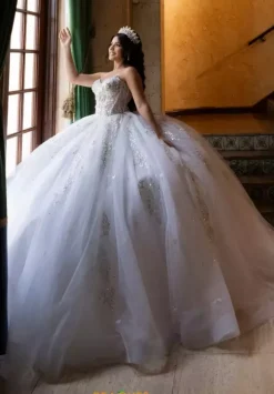 Vizcaya Quinceanera 4080008