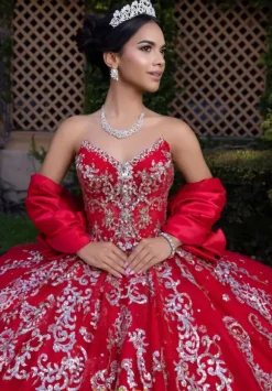 Vizcaya Quinceanera 4080008