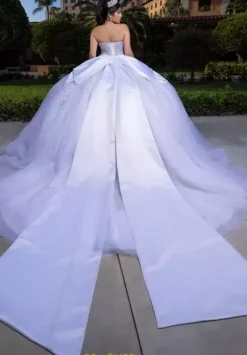 Vizcaya Quinceanera 4080008