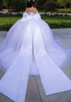 Vizcaya Quinceanera 4080008