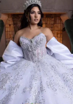 Vizcaya Quinceanera 4080008