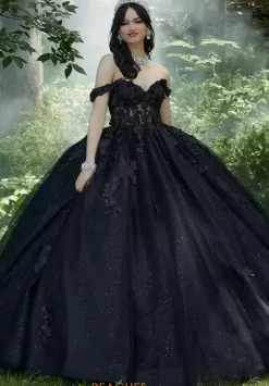 Vizcaya Quinceanera 60197