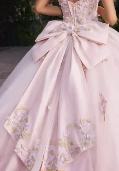 Vizcaya Quinceanera 89550