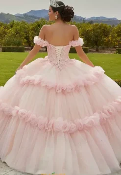 Vizcaya Quinceanera 89433
