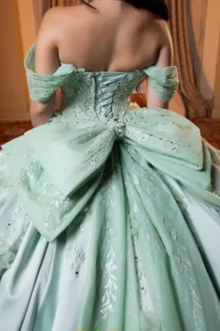 Vizcaya Quinceanera 4080006