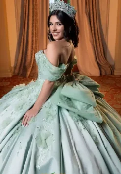 Vizcaya Quinceanera 4080006