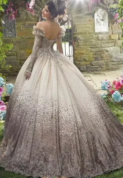 Vizcaya Quinceanera 89278