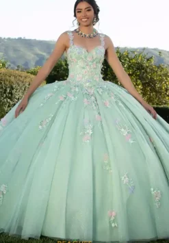 Vizcaya Quinceanera 89424