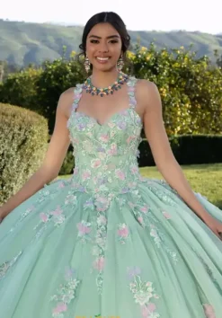 Vizcaya Quinceanera 89424