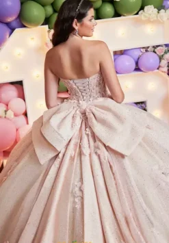 Vizcaya Quinceanera 89512
