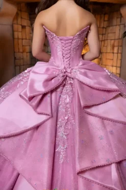 Vizcaya Quinceanera 4080029