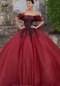 Vizcaya Quinceanera 89535