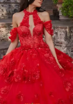 Vizcaya Quinceanera 89538