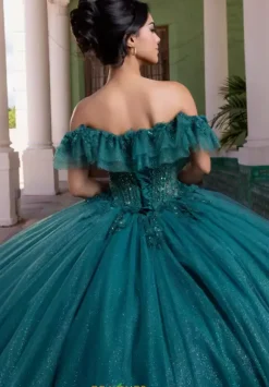 Vizcaya Quinceanera 4080015