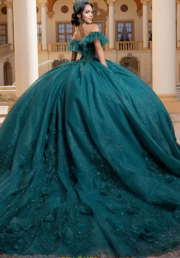 Vizcaya Quinceanera 4080015