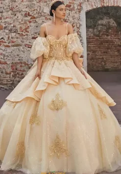 Vizcaya Quinceanera 89537