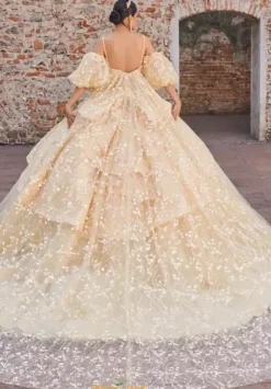 Vizcaya Quinceanera 89537