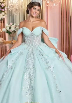 Vizcaya Quinceanera 89511