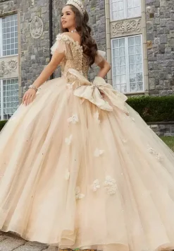 Vizcaya Quinceanera 89404
