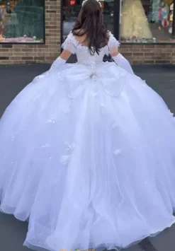 Vizcaya Quinceanera 89404