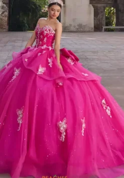 Vizcaya Quinceanera 89548