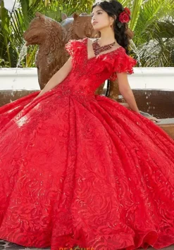 Vizcaya Quinceanera 34072