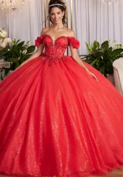 Vizcaya Quinceanera 89523