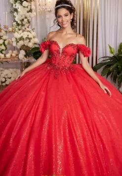 Vizcaya Quinceanera 89523