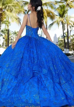 Vizcaya Quinceanera 60163